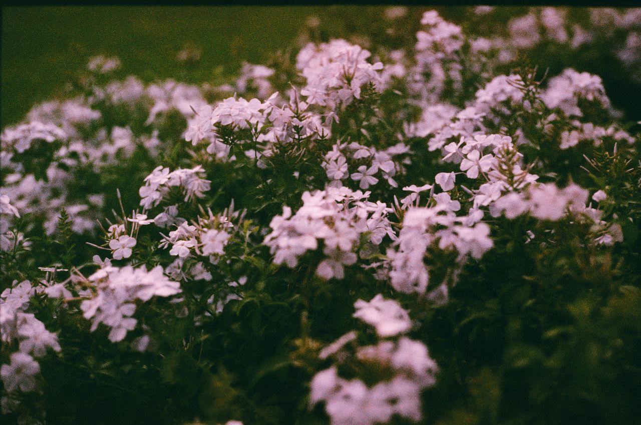 demo image